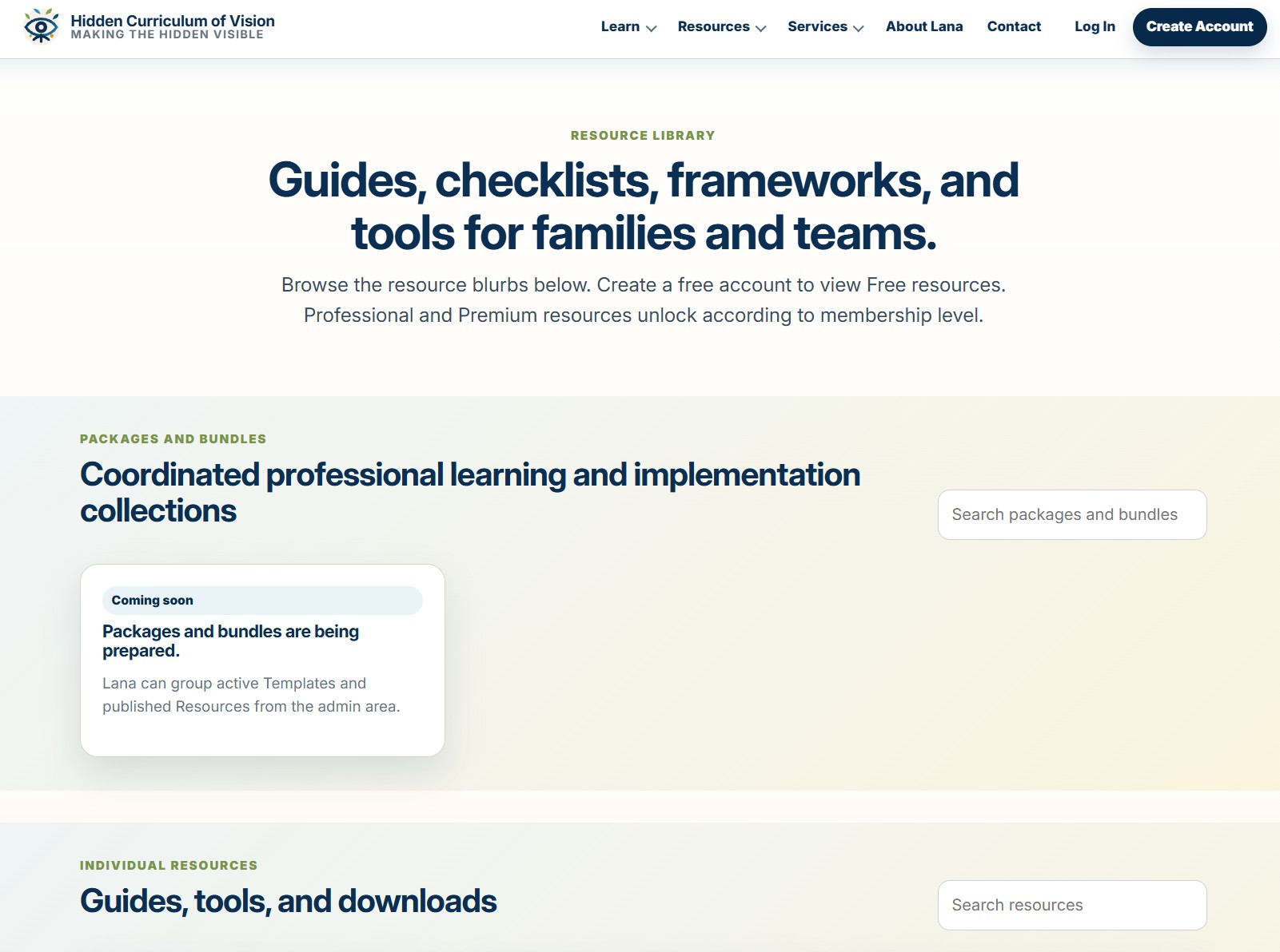 Hidden Curriculum of Vision screenshot